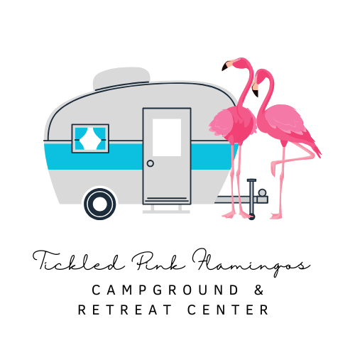 Tickled Pink Flamingos